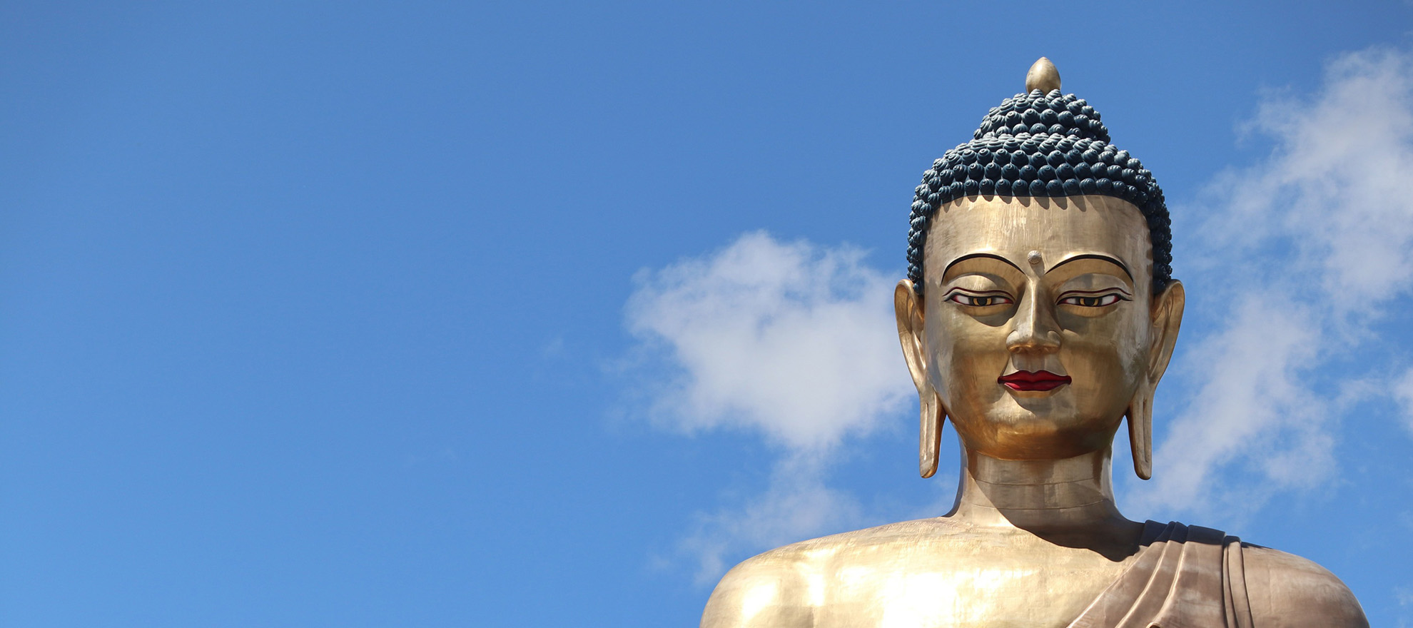 Wellness & Spirituality