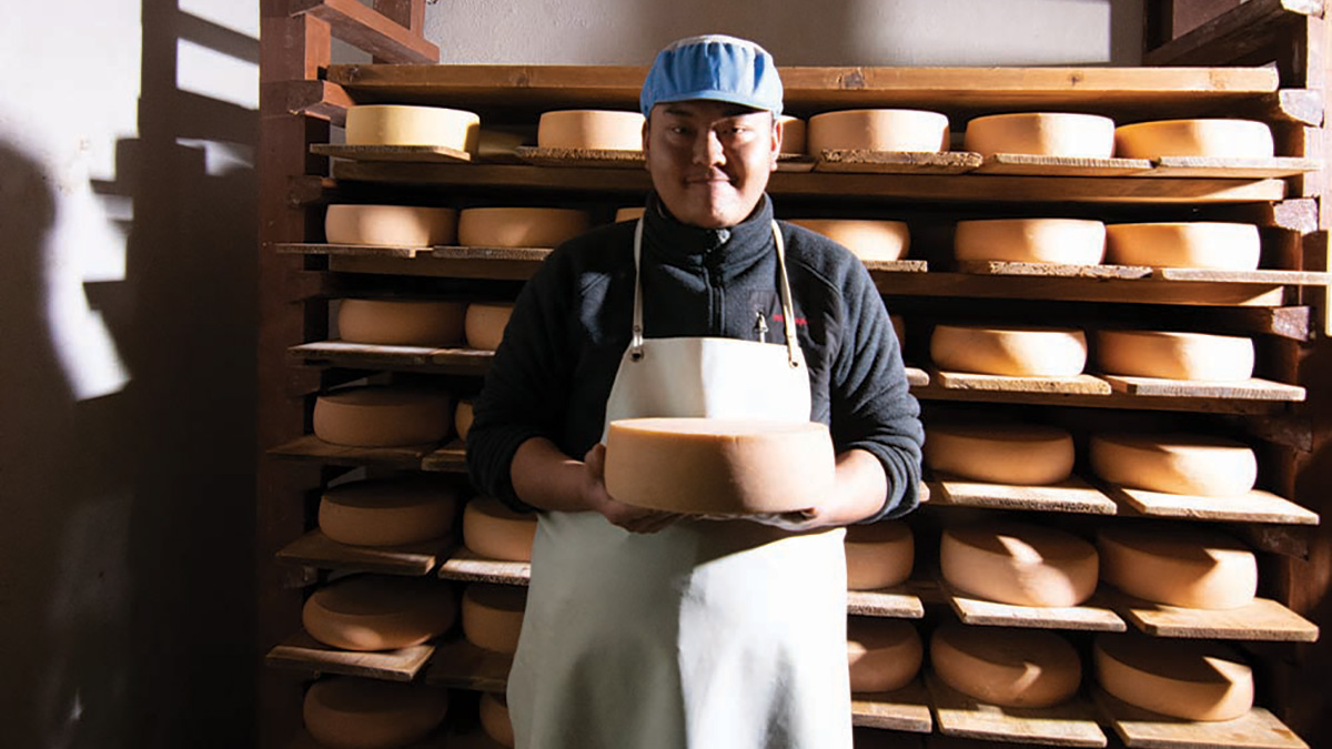 Swiss Cheese Factory