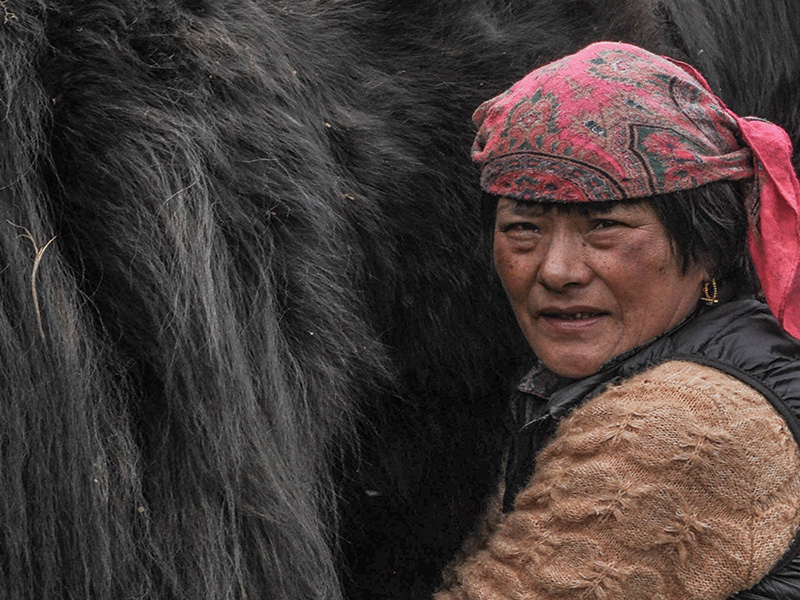 10 Days Cultural Tour