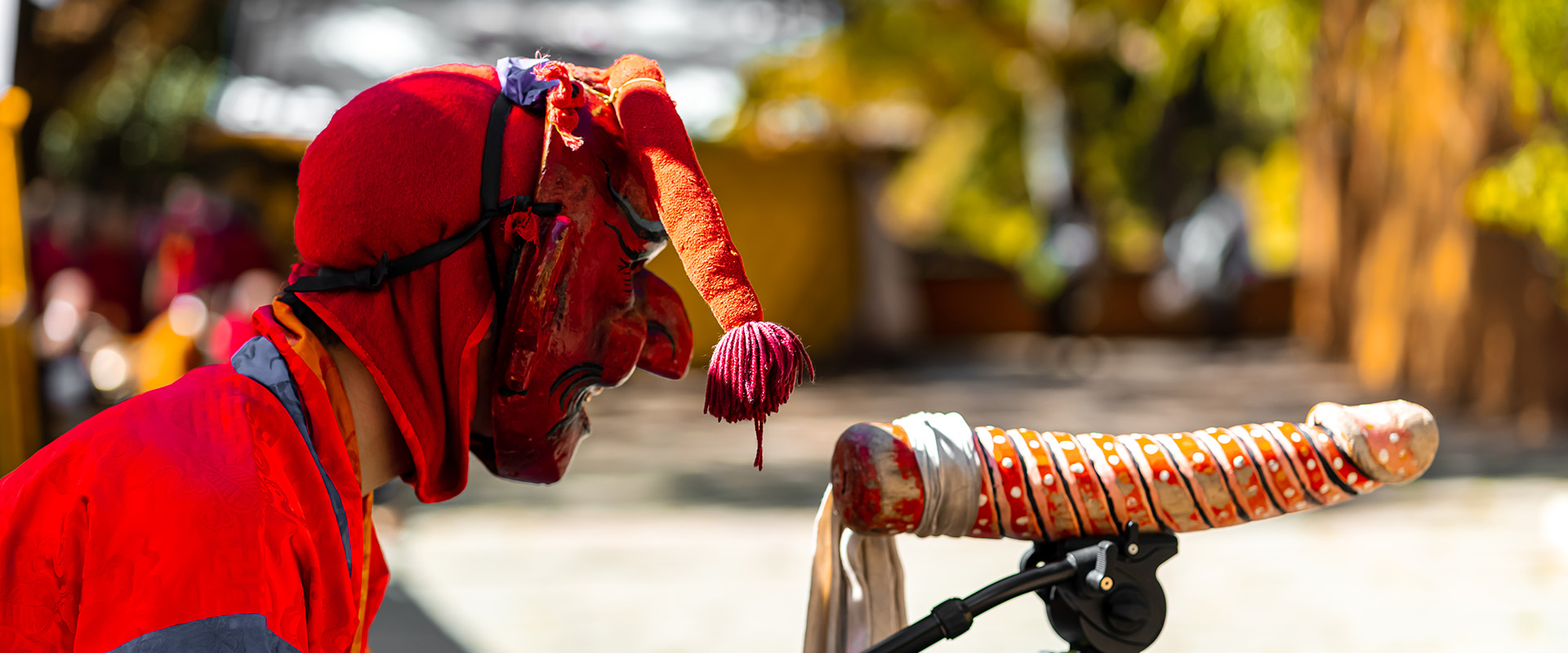 6 Days Rhododendron Festival Tour