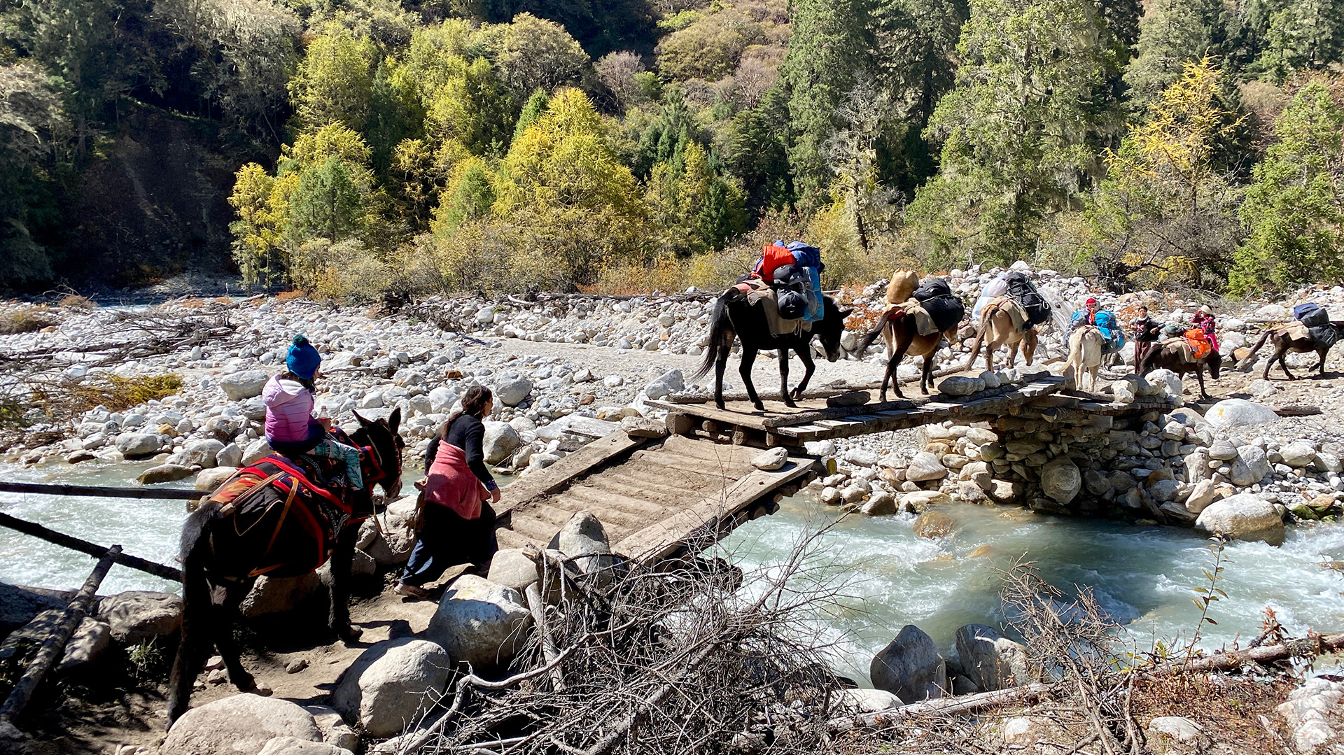 10 Days Cultural Tour