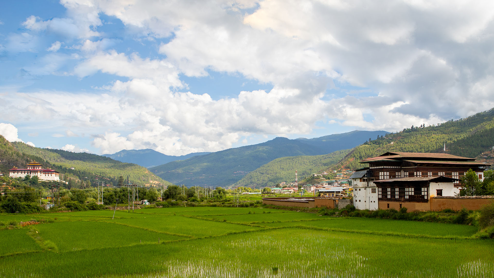 4 Days Cultural Tour