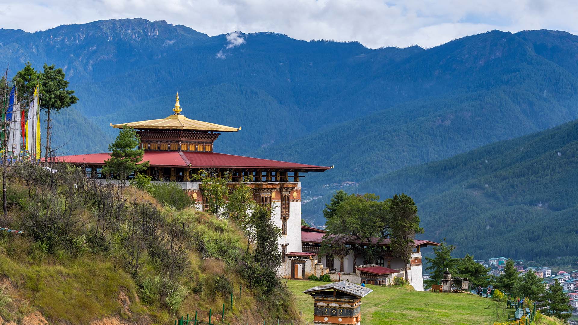 5 Days Cultural Tour